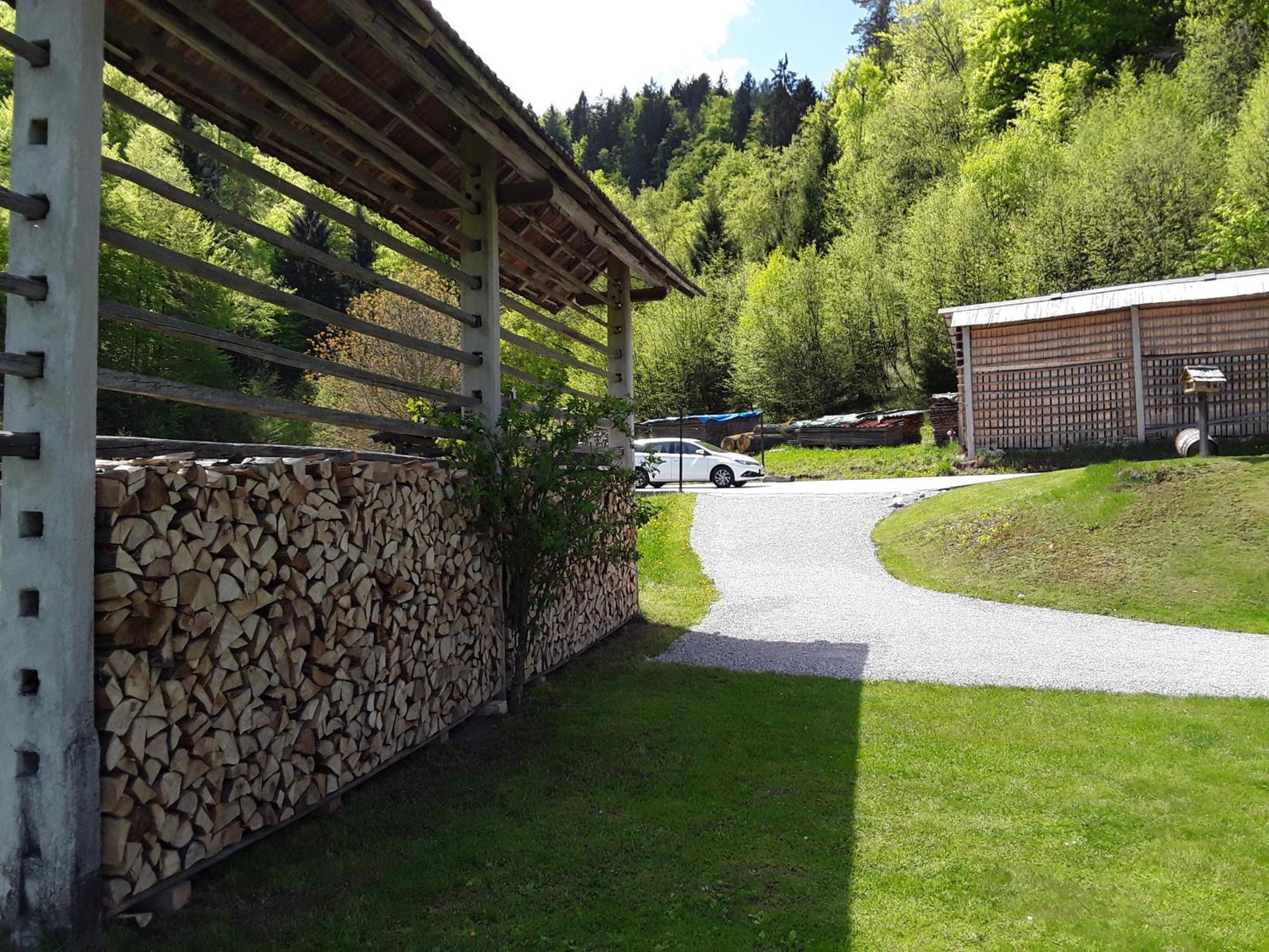 Apartment Natur Bled Exterior photo