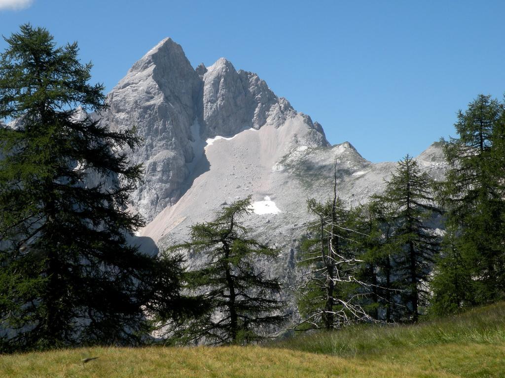 Apartment Natur Bled Room photo